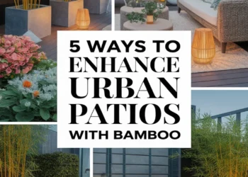 Image for: Enhance Urban Patios Using Bamboo: 5 Ways