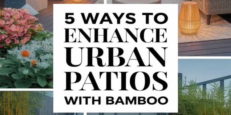 Enhance Urban Patios Using Bamboo: 5 Ways 1 Image for: Enhance Urban Patios Using Bamboo: 5 Ways